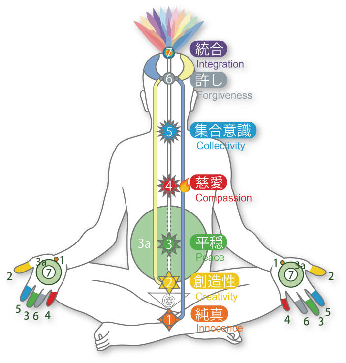 精妙な身体の仕組み